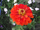 DSCF8013