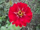 DSCF8015