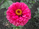 DSCF8016