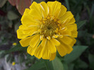 DSCF8017