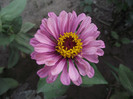 DSCF8019