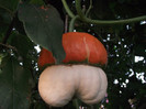 DSCF8021