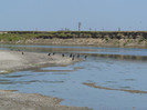 P1420973