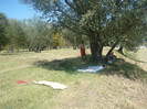 P1430017