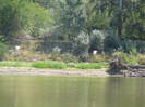 P1430030
