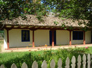 DSC05827