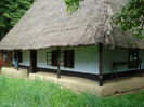 DSC05849