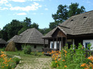 DSC05861