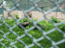 DSCF0792