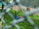 DSCF0793
