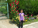 DSCF0811