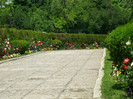 DSCF0815