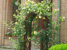 DSCF0827
