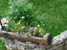 DSCF0834