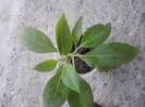 P210712_20.44_[02]