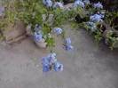 P220712_20.02_[02]
