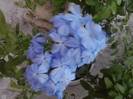 P220712_20.02_[03]