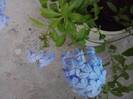 P220712_20.02_[04]