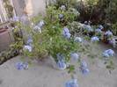 P220712_20.03_[02]