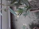 P220712_20.04_[01]