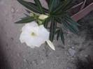 P220712_20.05_[01]