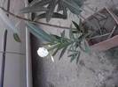 P220712_20.05_[02]