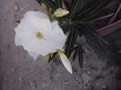 P220712_20.05_[03]