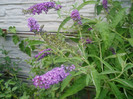 P1010428