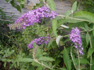 P1010427