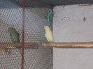 Picture 028