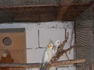 Picture 039