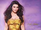 Preity_Zinta_437_1268465773