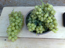 20072012helikon si perletta