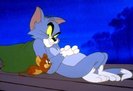 Tom si Jerry Pe Mustata Mea