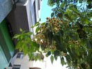 230720123066