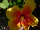 P1160184