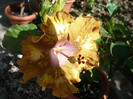 P1160187