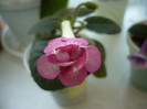 P1160191