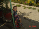 poze 024