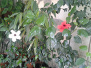2012-07-23 15.10.07