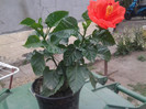 2012-07-24 11.51.06