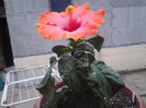 2012-07-24 11.52.02
