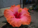 2012-07-24 11.52.12