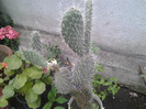 2012-07-24 11.59.02