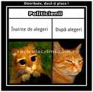 523433_441799682526913_832867330_n