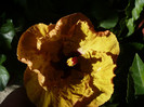 P1160208