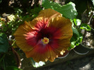 P1160212