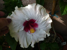 P1160222