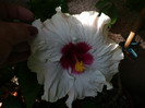 P1160223