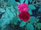 P240712_19.39_[05]